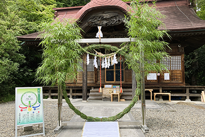 夏の画像2