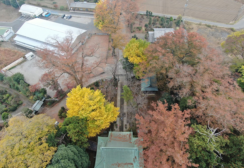 野木神社