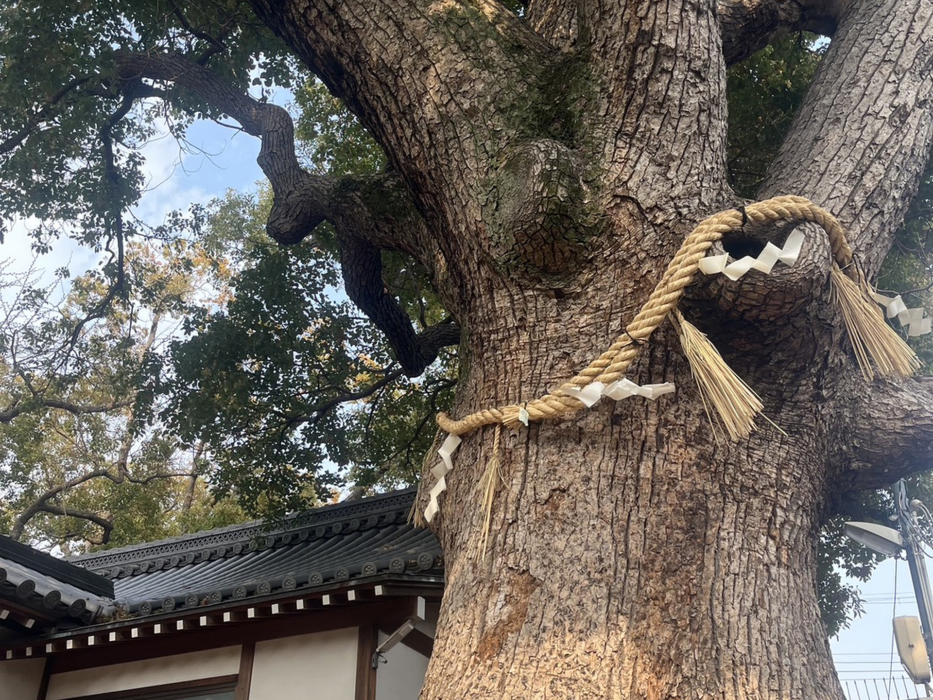阿保神社