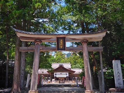 土佐一ノ宮 土佐神社