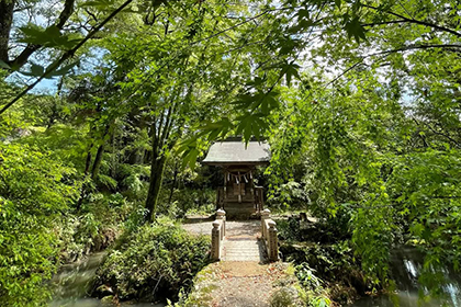 夏の画像2