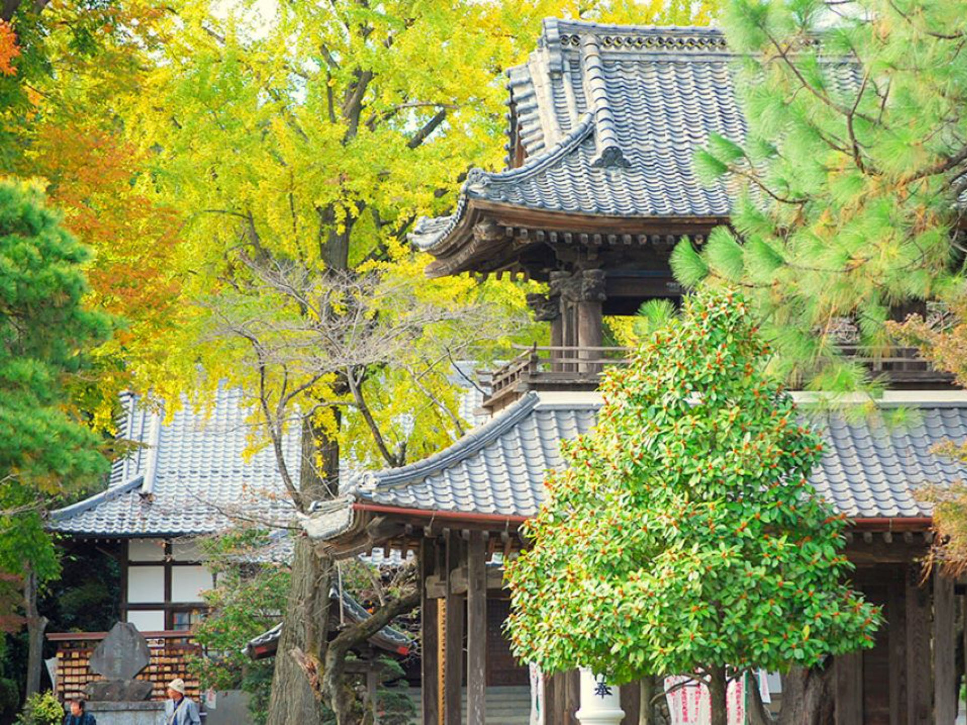 五台山 文殊寺