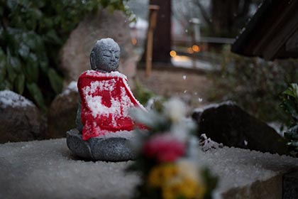 冬の画像2