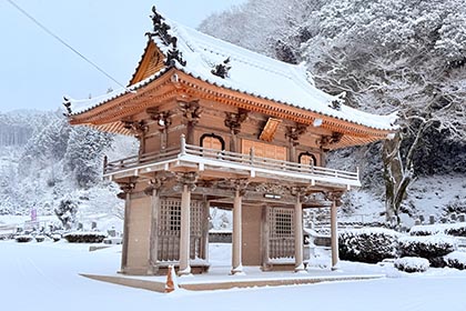冬の画像2