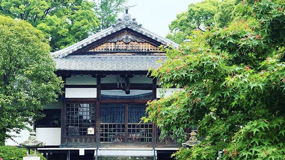 夏の画像1